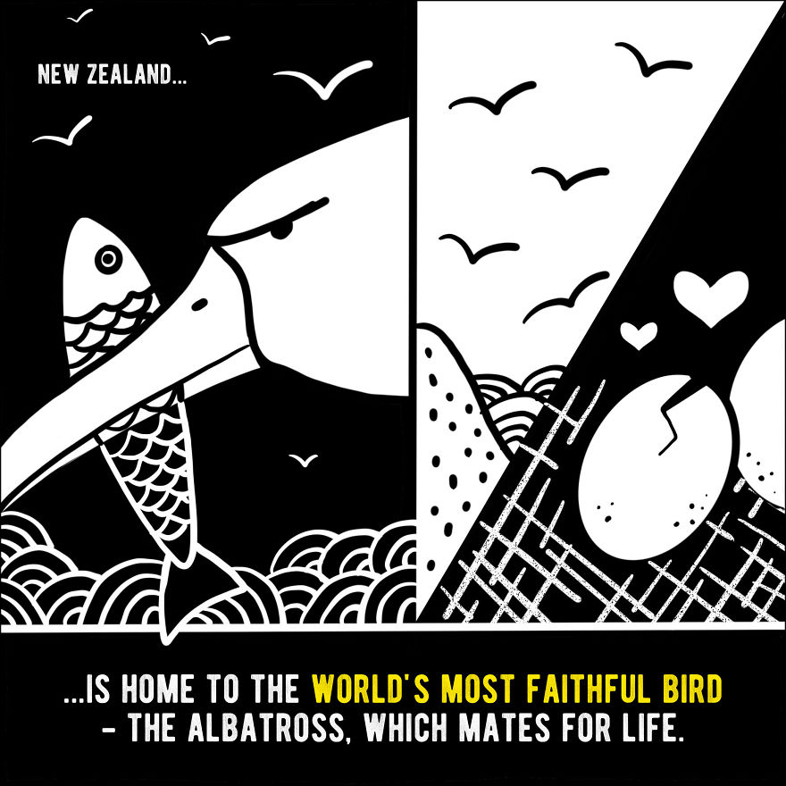 We Illustrated 20 Interesting Facts About New Zealand That You Probably Didn't Know