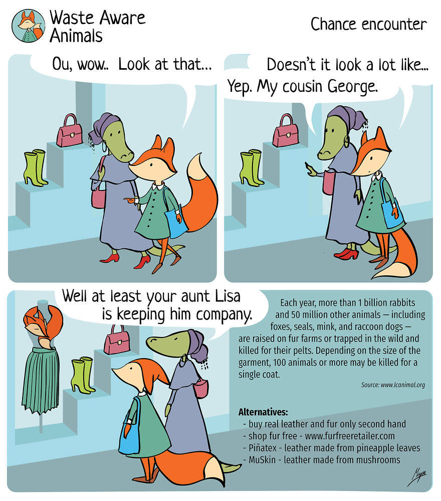 I Create A Comics To Share My Funny Struggle With Zero Waste Living