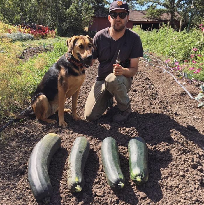 Man kneeling next to dog in garden with four large zucchinis, showcasing funny vegan hunters humor in outdoor setting.