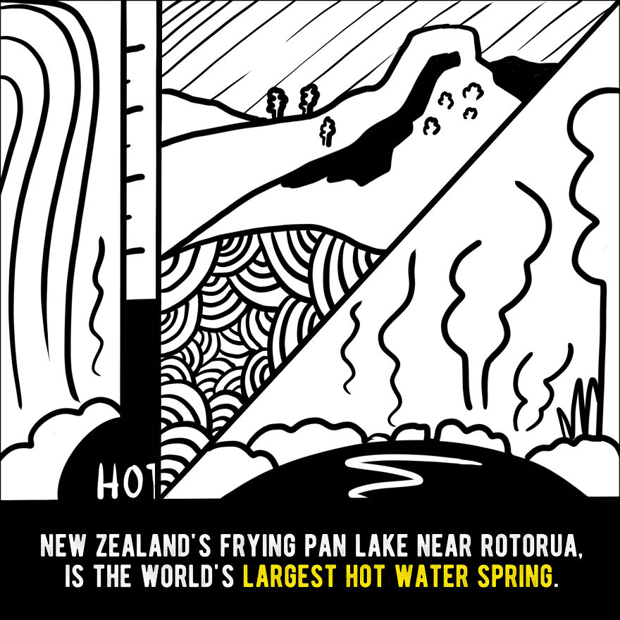 We Illustrated 20 Interesting Facts About New Zealand That You Probably Didn't Know