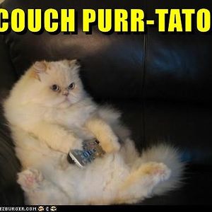 ecstasymontgomery avatar