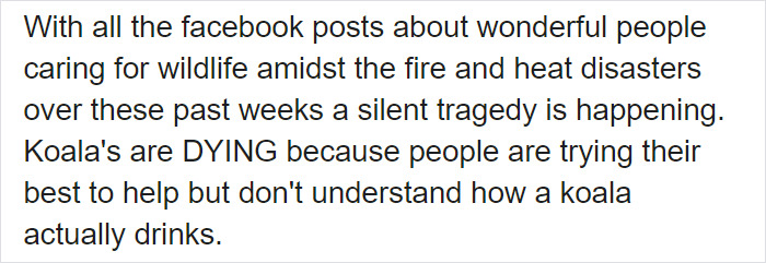 After One Koala Dies Due To Being Given Water Improperly, Vets Explain How To Do It Right