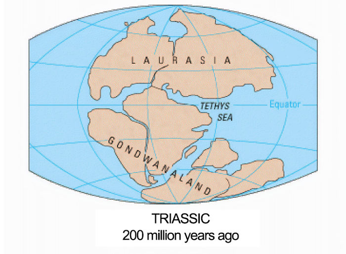 This Is What The World Looked Like 300 Million Years Ago