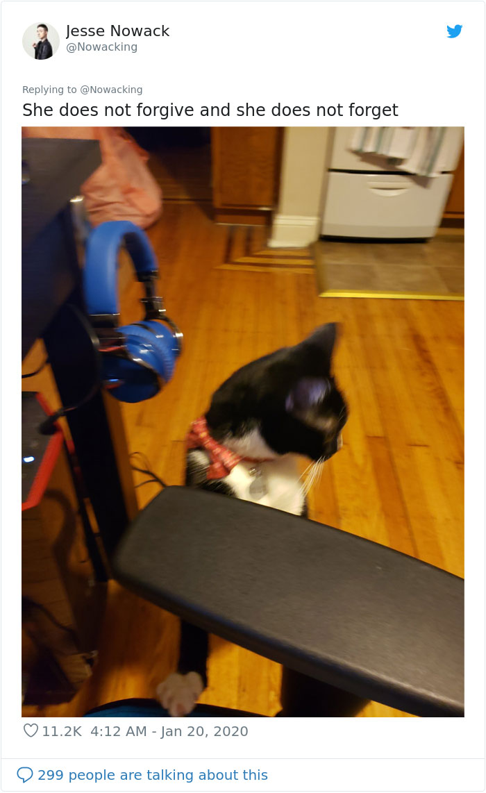 Guy Shares His Cat's Funny Reaction To Him Opening A Can Thinking It's Tuna, Gets A Fan Comic Strip Guy Shares His Cat's Funny Reaction To Him Opening A Can Thinking It's Tuna, Gets A Fan Comic Strip