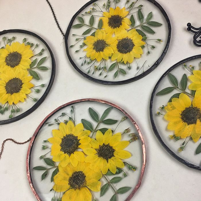 About Two Years Ago, I Picked Up A New Hobby Of Making Flower Herbariums And Here Are My Recent Works