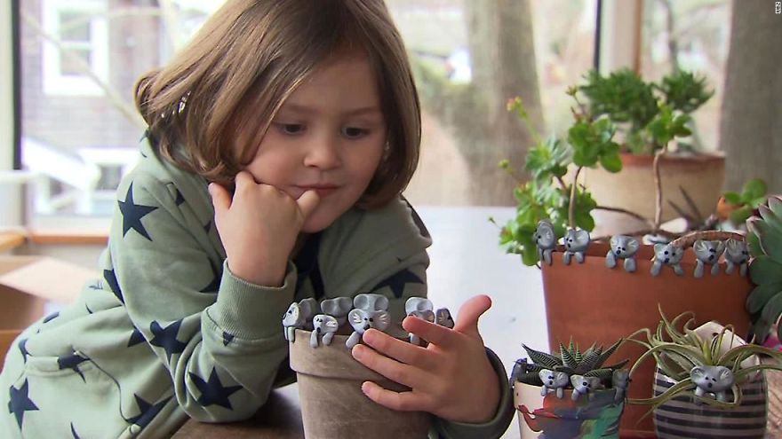 This 6-Year-Old Is Raising Money For Australia&rsquo;s Bushfires And He Raised Over $250K In 10 Days