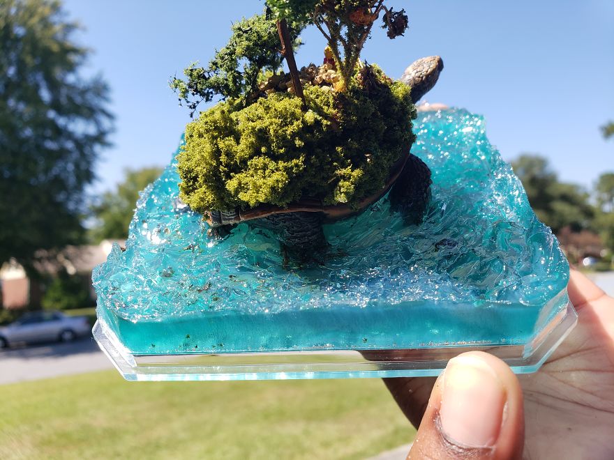 I Created This Turtle Island