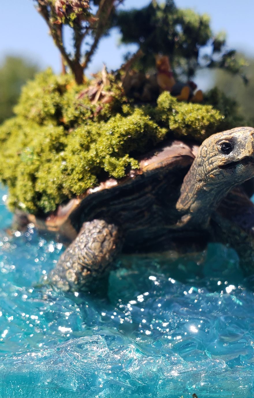 I Created This Turtle Island