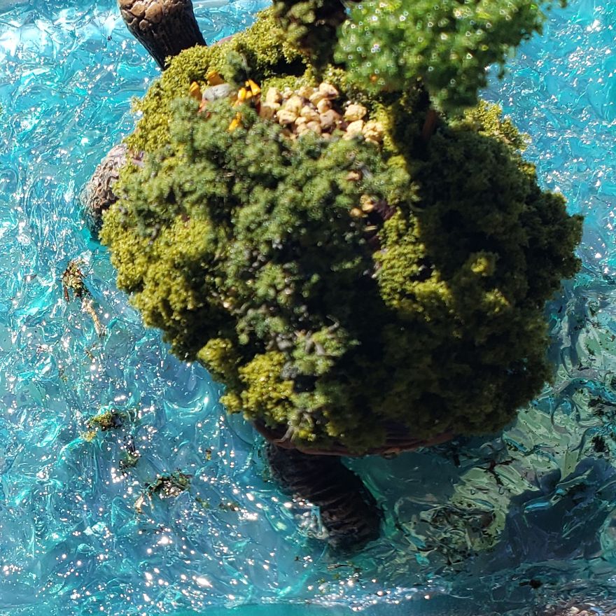 I Created This Turtle Island