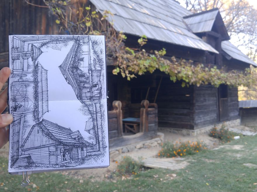 I Just Loved How The Grape Leaves Surrounded This Entire Household From The Astra Village Museum In Sibiu, Romania