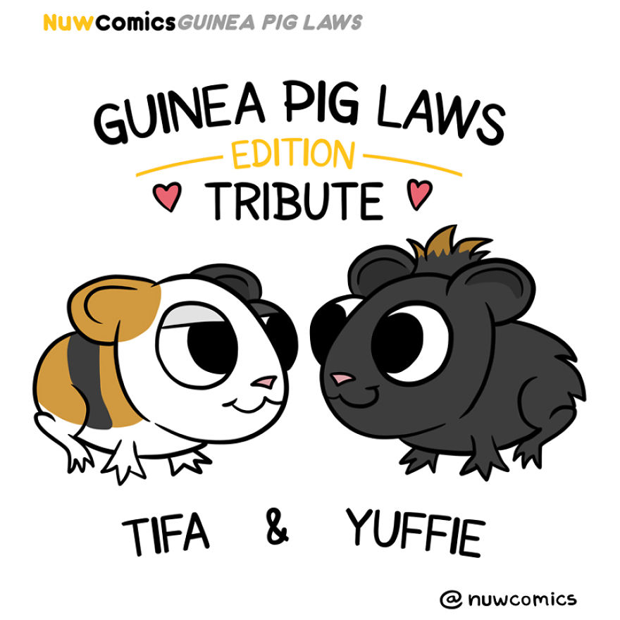 After 8 Amazing Years Of Owning My Guinea Pigs, I Created Tribute Comics For Them After 8 Amazing Years Of Owning My Guinea Pigs, I Created Tribute Comics For Them