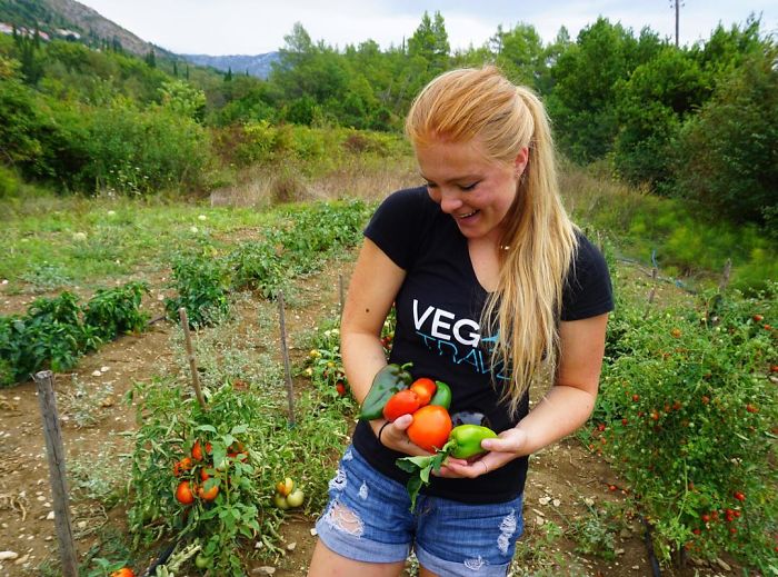 Vegan-Vegetarian-Hunters-Photos