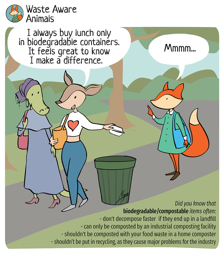I Create A Comics To Share My Funny Struggle With Zero Waste Living