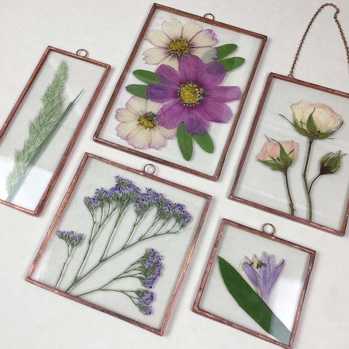 About Two Years Ago, I Picked Up A New Hobby Of Making Flower Herbariums And Here Are My Recent Works