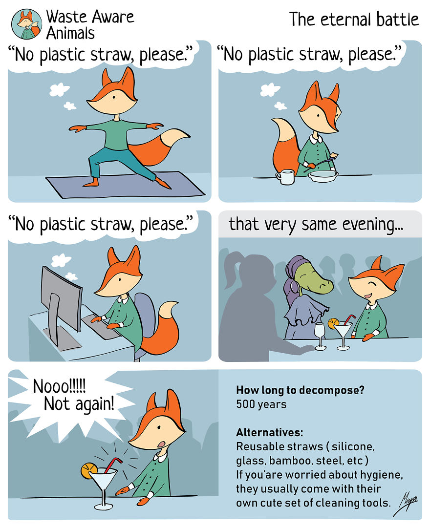 I Create A Comics To Share My Funny Struggle With Zero Waste Living