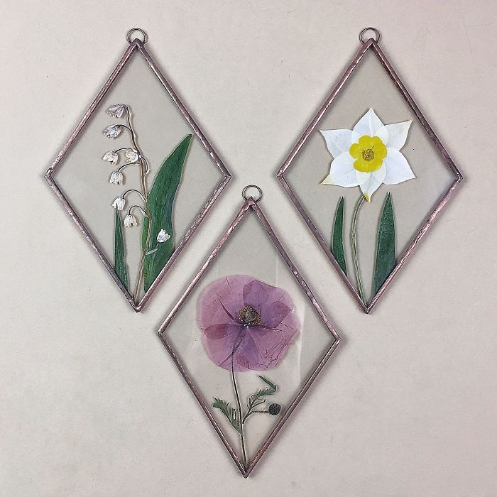 About Two Years Ago, I Picked Up A New Hobby Of Making Flower Herbariums And Here Are My Recent Works