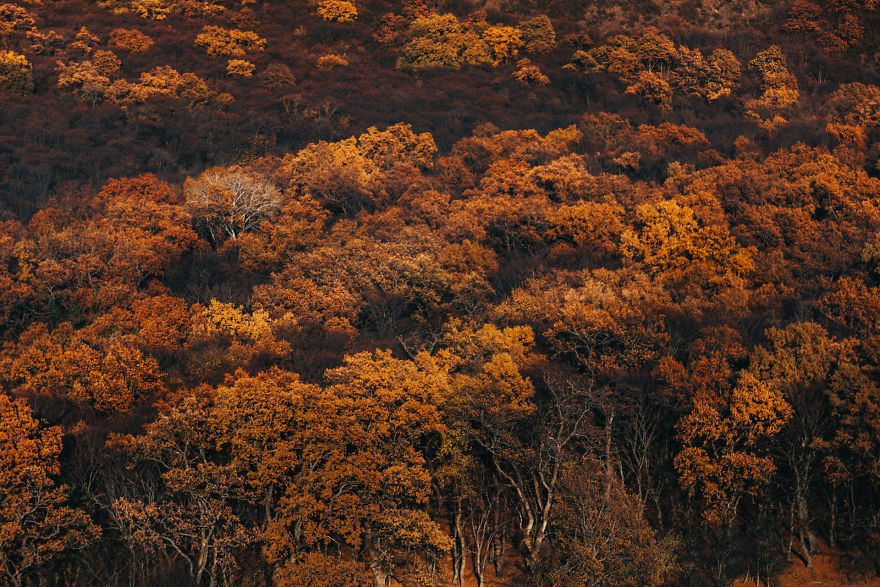 I Captured Amazing Nature Of Georgia From A Helicopter