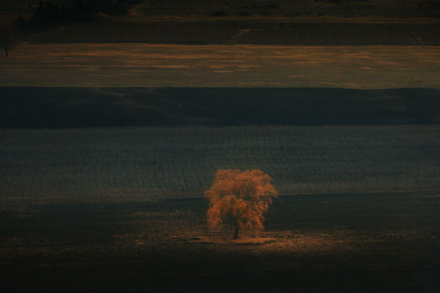 I Captured Amazing Nature Of Georgia From A Helicopter
