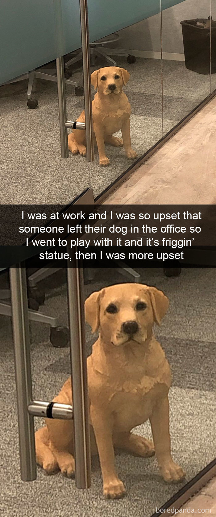 Funny-Hilarious-Dog-Snapchats