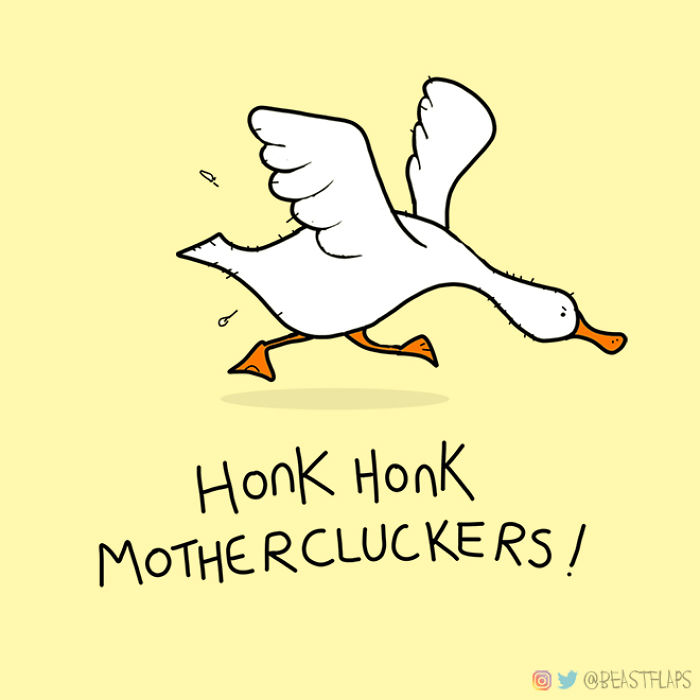 I Decided To Get Myself Out Of A Creative Rut This Year By Promising To Draw One Grumpy Animal Every Single Day