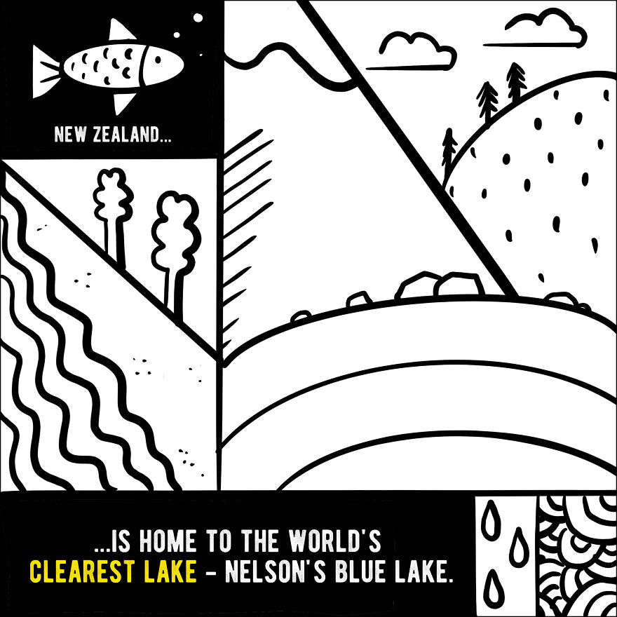 We Illustrated 20 Interesting Facts About New Zealand That You Probably Didn't Know
