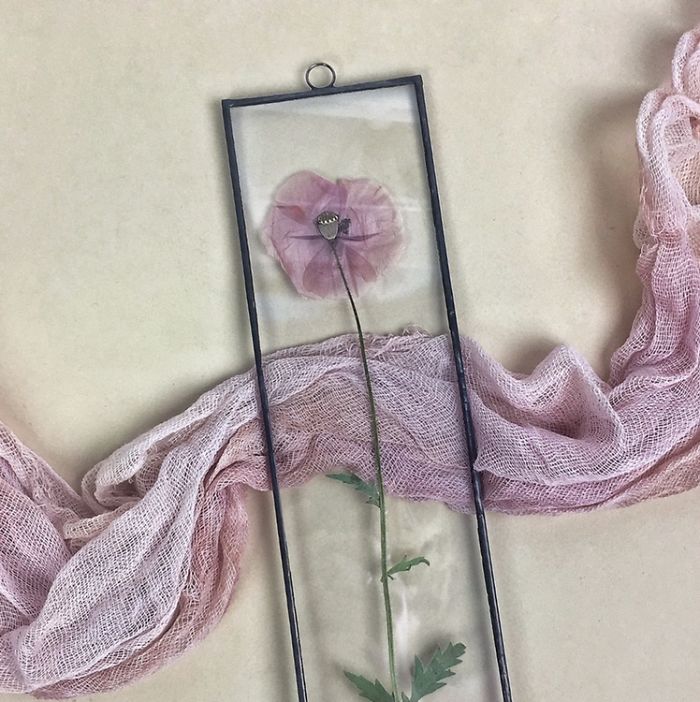About Two Years Ago, I Picked Up A New Hobby Of Making Flower Herbariums And Here Are My Recent Works