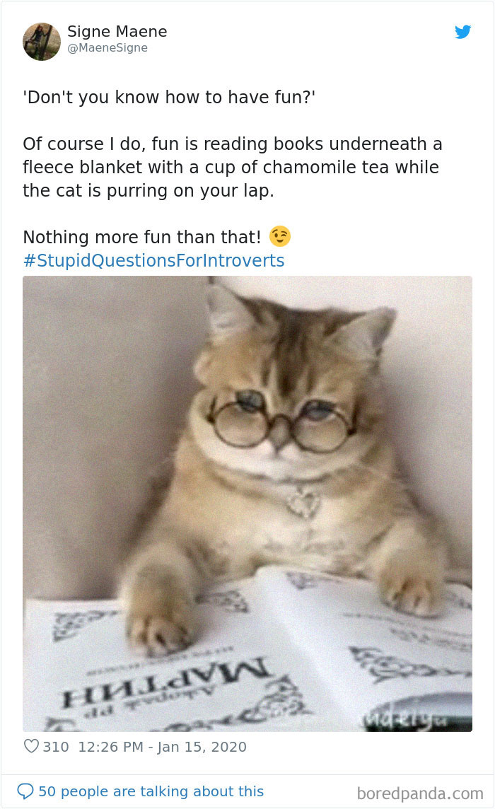 Stupid-Questions-For-Introverts