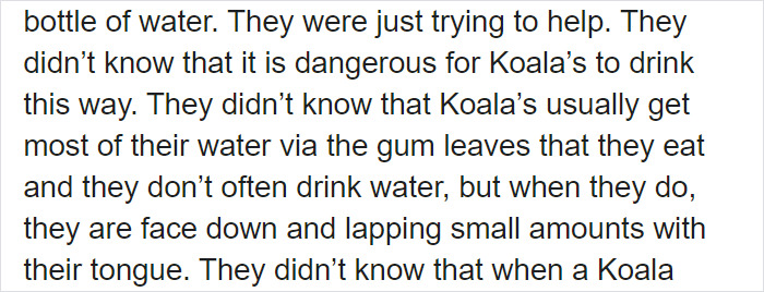 After One Koala Dies Due To Being Given Water Improperly, Vets Explain How To Do It Right After One Koala Dies Due To Being Given Water Improperly, Vets Explain How To Do It Right