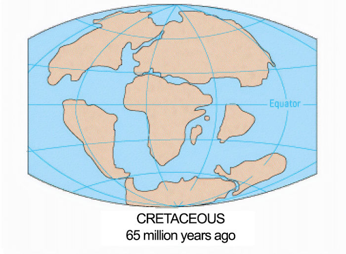 This Is What The World Looked Like 300 Million Years Ago This Is What The World Looked Like 300 Million Years Ago