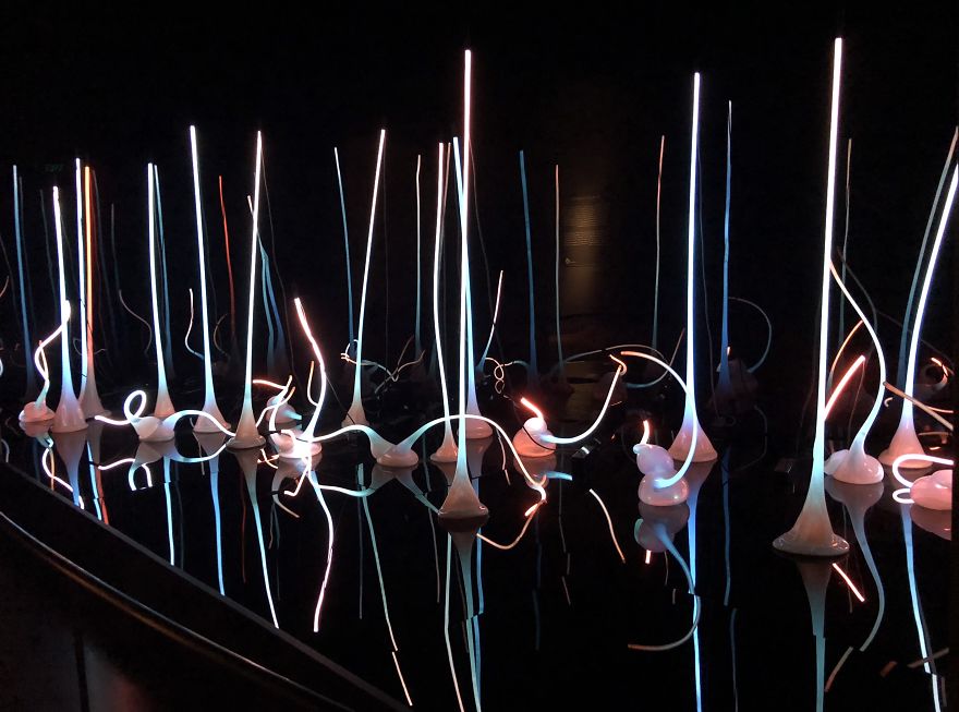 Chihuly Glass Seattle, Wa