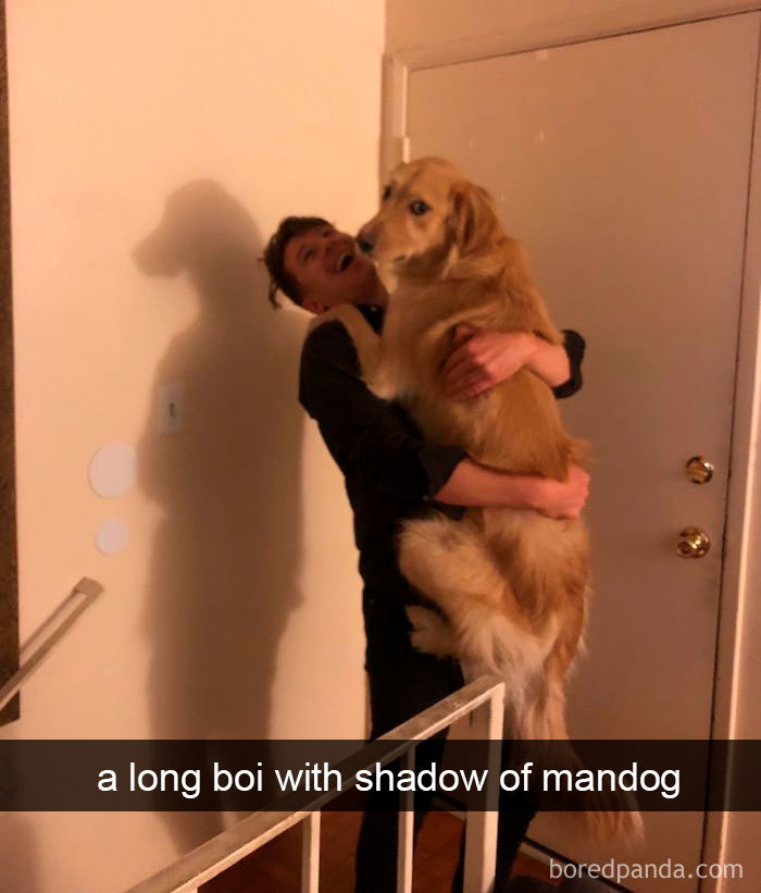 Funny-Hilarious-Dog-Snapchats