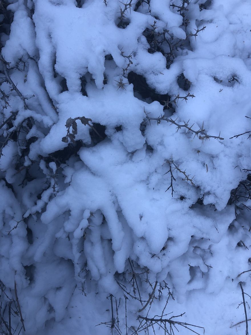 Snowdrifts Pine Mountain Club, Ca