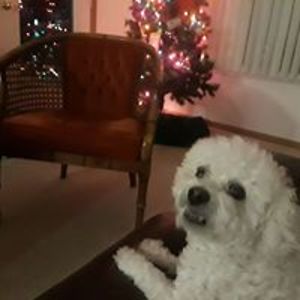 elizabethjoan08 avatar