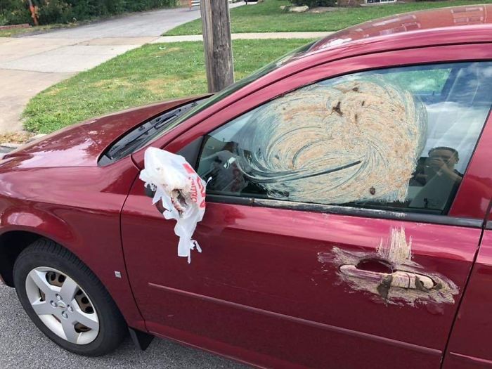 Somebody In My Hometown’s Retribution For A Neighbor Leaving Their Dog’s Poop On The Ground