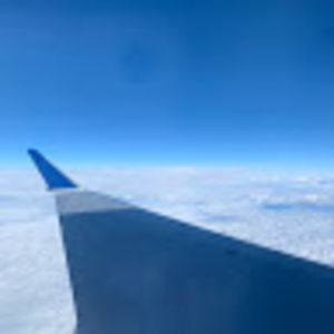 everythingagr avatar