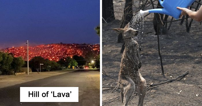 50 Pics That Sum Up The Hell On Earth That Is Taking Place In Australia