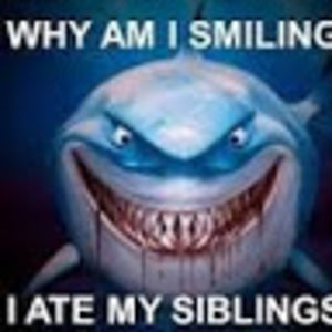 giancarloceja avatar