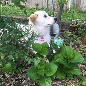 sandy_allgeyer avatar