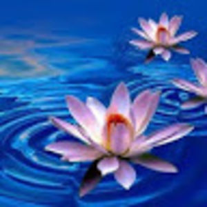 deborahhall_1 avatar