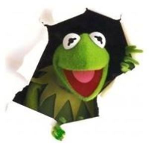 jaynehallock60 avatar