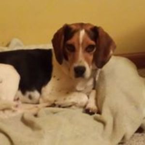 timothywstevens avatar