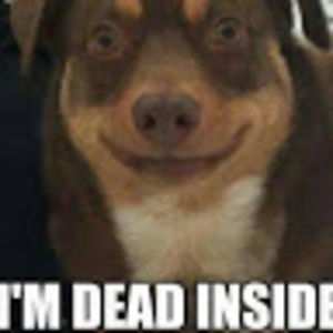 nuclearparadox avatar