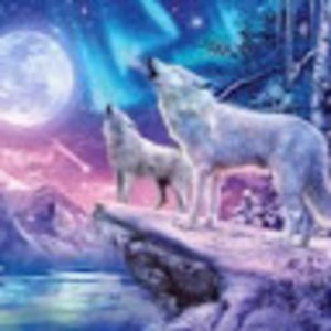 nathanouelletteviolette avatar