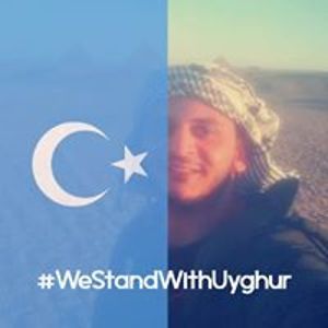 mohamedzoelfakar avatar