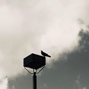 serenity_chilton avatar