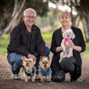 tonihjohnstone avatar