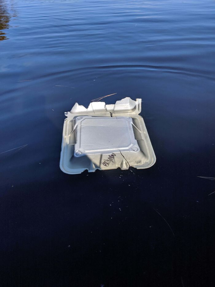 Went Kayaking This Morning. I Just Want Bryan To Know He's A Jerk