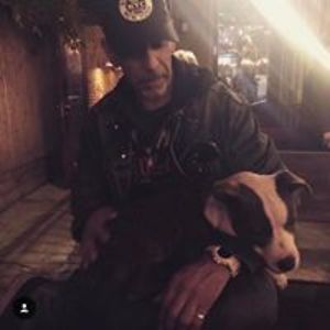 steveroman331 avatar