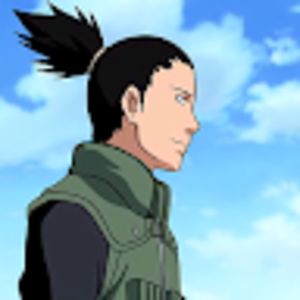 lauraventrice avatar