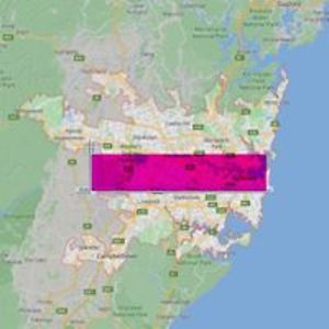 frances_l_wellington avatar